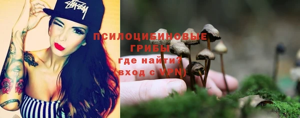 гашиш Каменка