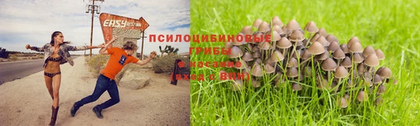 таблы Каменск-Шахтинский