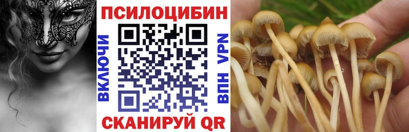 Псилоцибиновые грибы Cubensis  Купить  Моршанск 